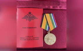 Александр Дрозденко награжден медалью «За вклад в укрепление обороны Российской Федерации»
