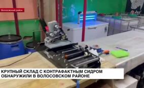 Крупный склад с контрафактным сидром обнаружили в Волосовском районе