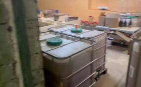 Почти 6 тысяч бутылок паленого сидра нашли на складе в Ленобласти – видео