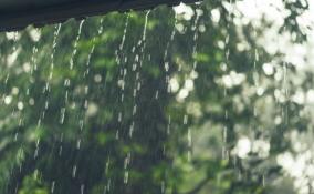До +25 градусов, дожди и грозы ожидаются в Ленобласти 25 мая