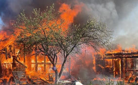 Двое человек погибли в горящем доме в Сосновом Бору
