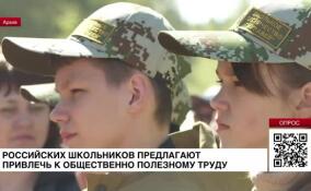 Российских школьников могут привлечь к общественно полезному труду