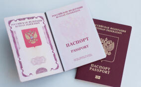 С 1 июня в России возобновят прием заявлений на загранпаспорта нового образца на 10 лет