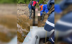 Тело мужчины, пропавшего в районе Хевроньино, нашли в реке Свирь