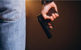 В Новом Девяткино двое хулиганов стреляли из пневматического пистолета на детской площадке