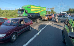 На трассе М-10 в Ленобласти произошло массовое ДТП