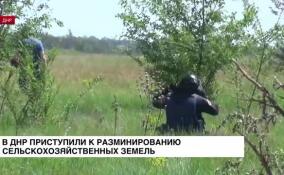 В ДНР приступили к разминированию сельскохозяйственных земель
