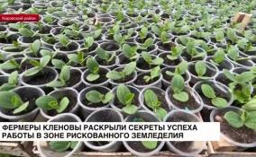 Фермеры Кленовы раскрыли секрет успеха работы в зоне рискованного земледелия