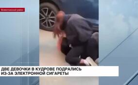 Две девочки в Кудрово подрались из-за электронной сигареты