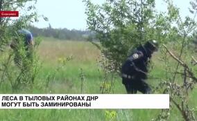 Леса в тыловых районах ДНР могут быть заминированы