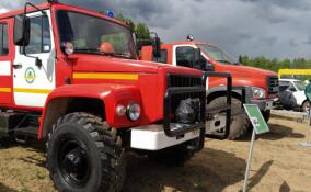 Лесничества Ленобласти получили для охраны лесов от пожаров 15 единиц техники с начала года