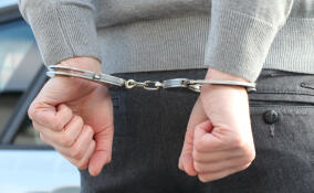 В Тосно задержали рецидивиста, который развратил 15-летнего подростка