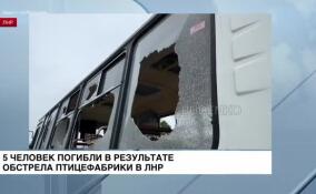 Пять человек погибли в результате обстрела птицефабрики в ЛНР