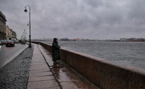 Первый день лета в Петербурге будет холодным и дождливым