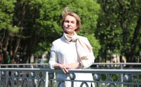 Анна Митянина заявила, что система защиты детства нуждается в реформировании