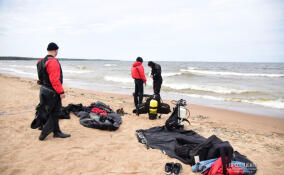 На пляжах в Сосновом Бору начали работать спасатели с 1 июня