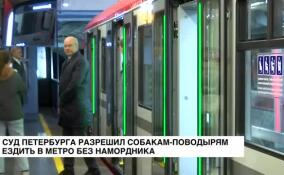 Суд Петербурга разрешил собакам-поводырям ездить в метро без намордника