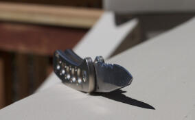 В Лужском районе неоднократно судимый мужчина убил ножом соседа