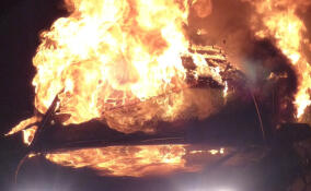 Водитель сгорел в полыхающем автомобиле в Гатчине