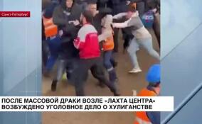Уголовное дело о хулиганстве возбуждено после драки возле «Лахта Центра» в Петербурге
