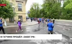 В Гатчине завершился «ЗаБег.РФ»
