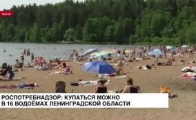16 водоемов Ленинградской области в этом году пригодны для купания