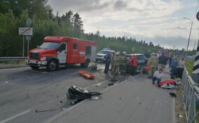 Лобовое ДТП на трассе Выборг-Светогорск унесло жизни двух водителей, пострадали три ребенка