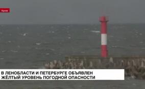 В Ленобласти и Петербурге объявили желтый уровень погодной опасности