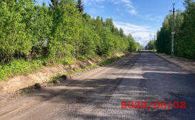 В Ленобласти злоумышленники воруют асфальтную крошку с ремонтируемой дороги Чаща — Кремено