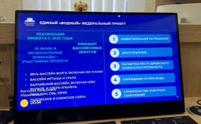 На заседании палаты регионов обсудили задачи единого «Водного» федерального проекта