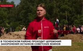 В Тосненском районе проходит церемония захоронения останков советских воинов