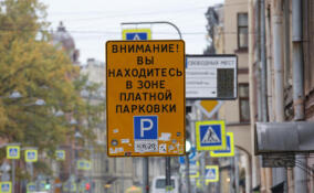 Платная парковка в центре Петербурга снизила количество пробок на 18,5%