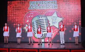 Гатчинские артисты завоевали спецприз международного вокального конкурса