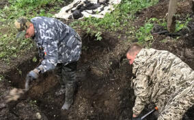 Останки 45 расстрелянных мирных жителей и военнопленных подняли в парке "Сильвия" в Гатчине