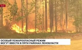 Особый пожароопасный режим могут ввести в пяти районах Ленобласти