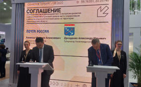 Ленинградская область планирует подписать на ПМЭФ-2023 более 40 соглашений