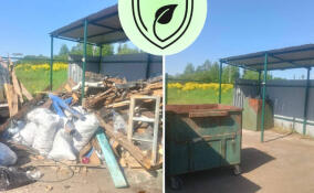 В деревне Романовка ликвидировали строительные отходы на контейнерной площадке