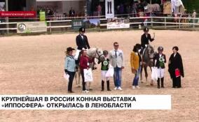 Крупнейшая в России конная выставка «Иппосфера» открылась в Ленобласти