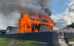 В деревне Узиготы Ломоносовского района дотла сгорел частный дом