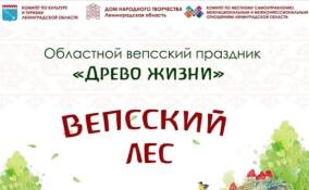 В Подпорожском районе Ленобласти пройдет традиционный вепсский праздник "Древо жизни - 2023"
