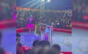 В результате обрушения трибуны в цирке в Лесколово пострадало 4 человека