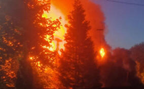 Горящая баня в деревне Юкки напугала жителей Мурино