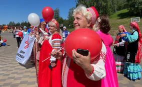День России отпраздновали во всеволожском Парке Песчанка