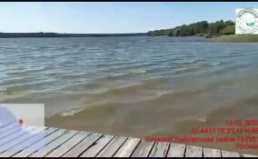 Эконадзор объяснил сине-зеленый цвет Нахимовского озера в Ленобласти