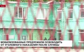 Мобилизованных предложили освободить от уголовного наказания после службы