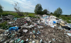 Под Кингисеппом ликвидировали нелегальную свалку объемом свыше 130 кубометров мусора