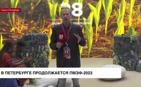 В Петербурге начал работу второй день ПМЭФ-2023