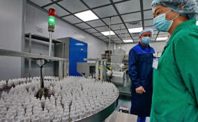 В Ленобласти появится производство медицинских изделий к 2025 году