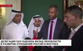 Делегация ОАЭ оценила вклад Ленобласти в развитие экономики и отношений России и Востока