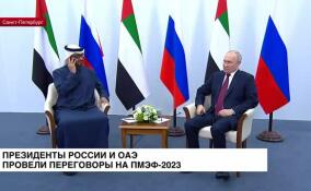 Владимир Путин провел переговоры с президентом ОАЭ на ПМЭФ-2023
